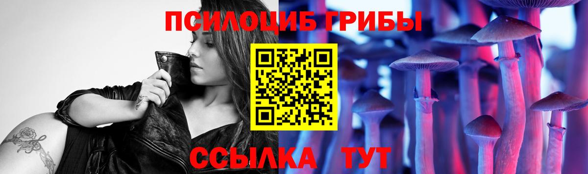 Галлюциногенные грибы GOLDEN TEACHER  Псилоцибиновые грибы Magic Shrooms  Вход с VPN  Моздок 